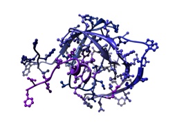 a model of HIV-1 protease