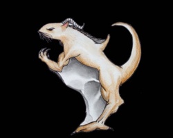 a sketch of a creature combining elements of a mouse, dragon and flying squirrel