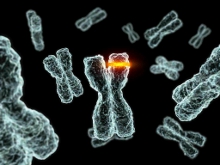 Chromosomes splitting and mutating