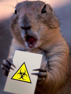 A chipmunk holding a biohazard sign