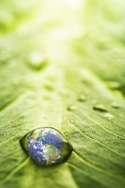 a leaf with dew on it. In one of the dewdrops is an image of the Earth