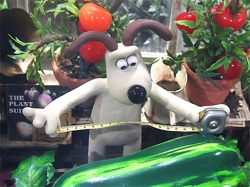 Gromit in a greenhouse, measuring a courgette with a tape measure