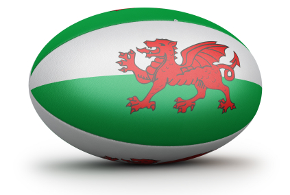 Rugby ball with a welsh flags pattern