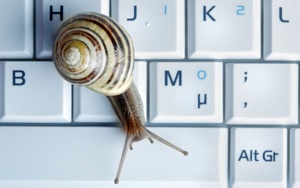 a snail crawls across a keyboard