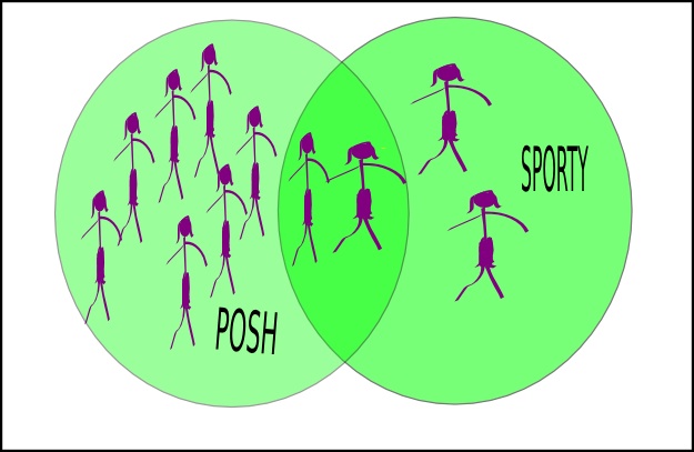 Posh or Sporty Venn Diagram