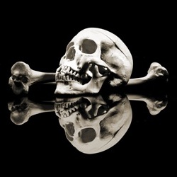 A skull on a black background